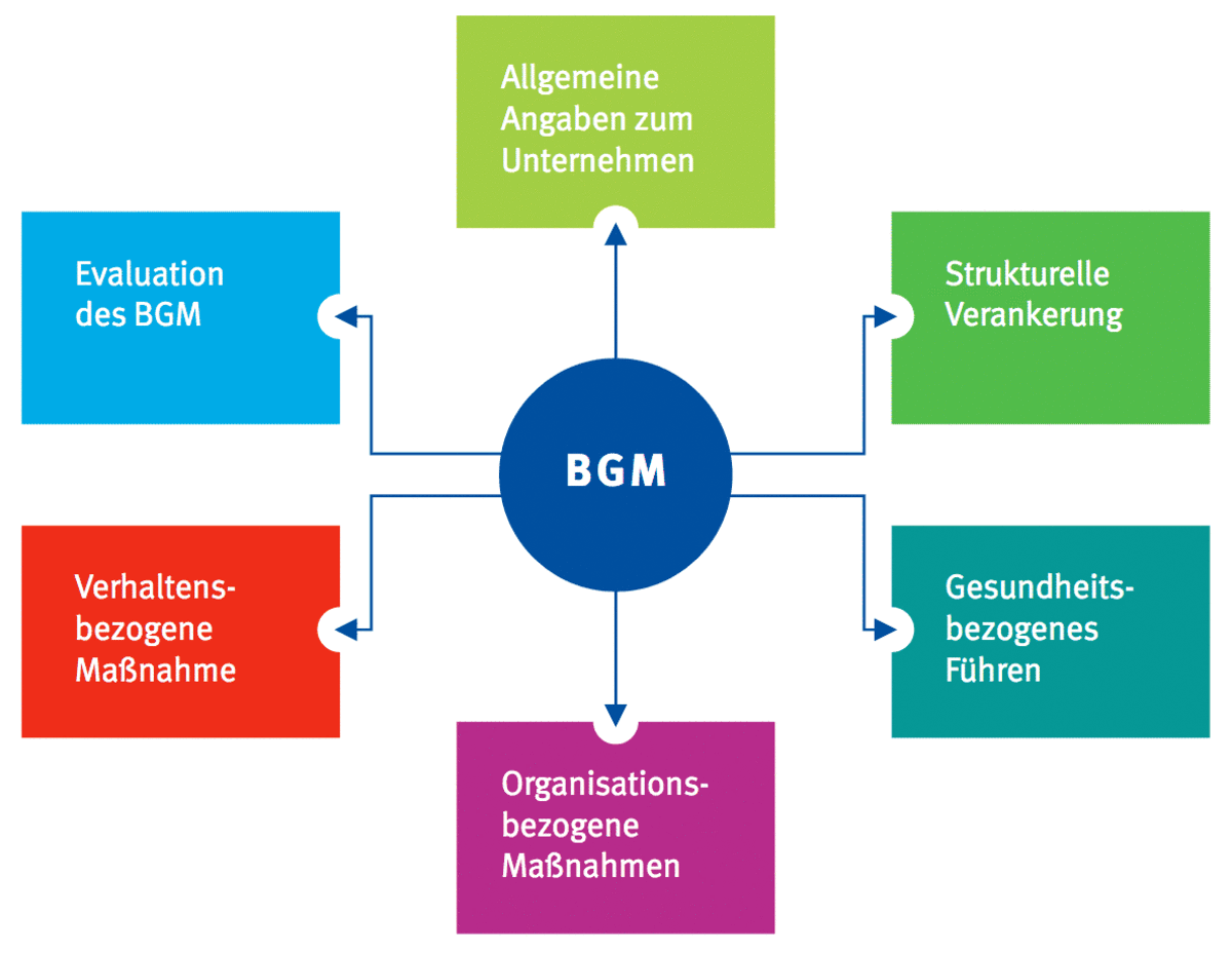 Großansicht: In der Mitte des Schaubilds ist ein Kreis, in dem "BGM" steht. Von diesem Kreis gehen rundherum sechs Pfeile zu Kästen ab. In den sechs Kästen steht jeweils: "Allgemeine Angaben zum Unternehmen", "Strukturelle Verankerung", "Gesundheitsbezogenes Führen", "Organisationsbezogene Maßnahmen", "Verhaltensbezogene Maßnahmen", "Evaluation des BGM"