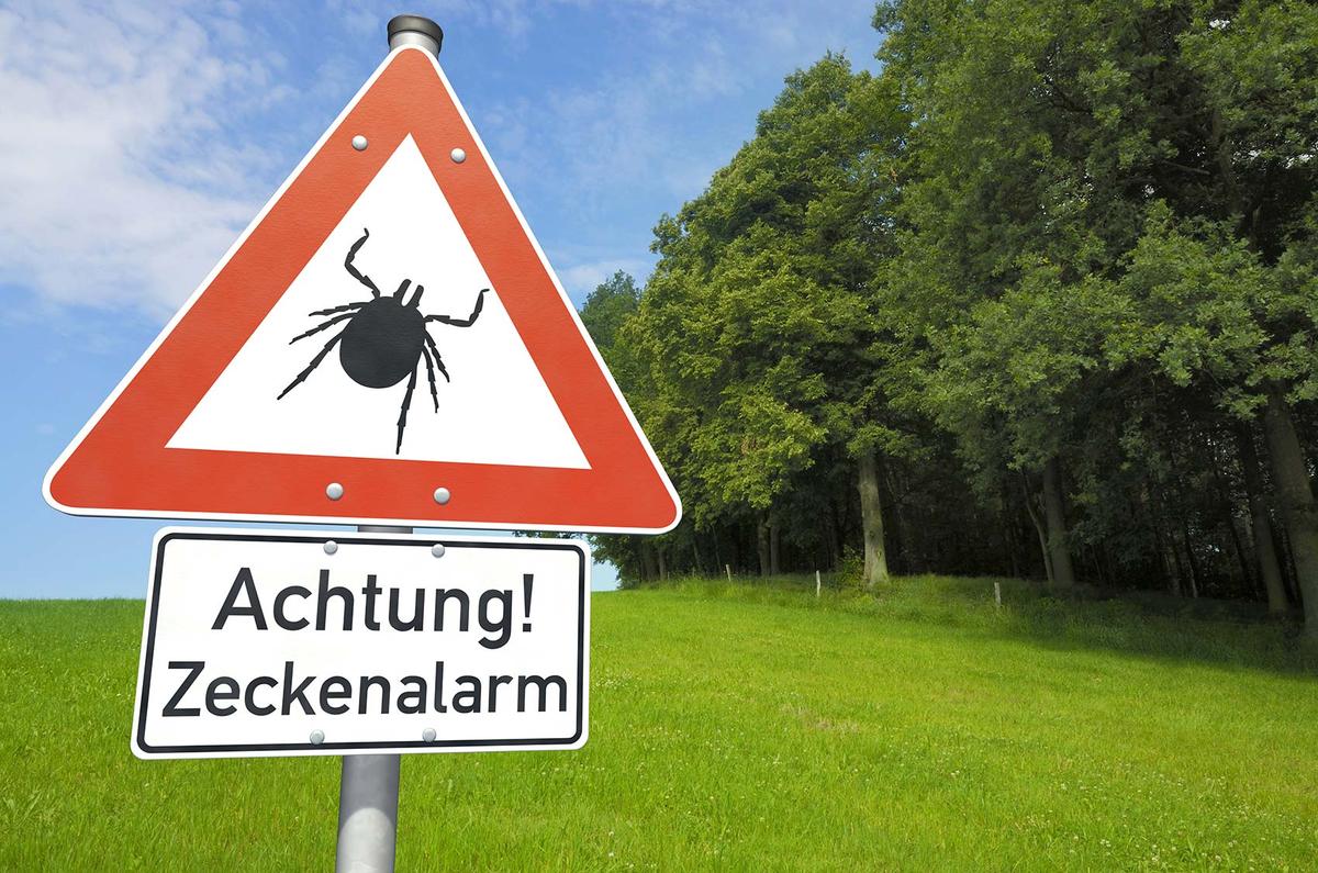 Großansicht: Ein rot-weißes Schild warnt vor Zecken an einem Waldgebiet. Auf dem Schild steht "Achtung! Zeckenalarm".